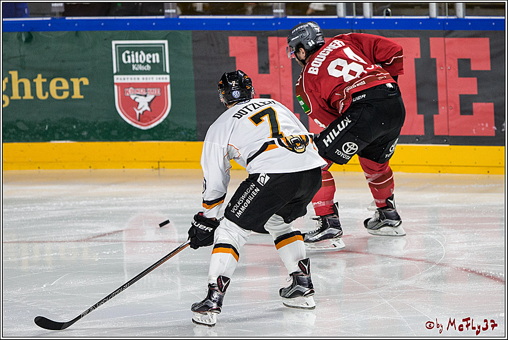 DEL, Koelner Haie - Grizzlys Wolfsburg, 21.03.2017